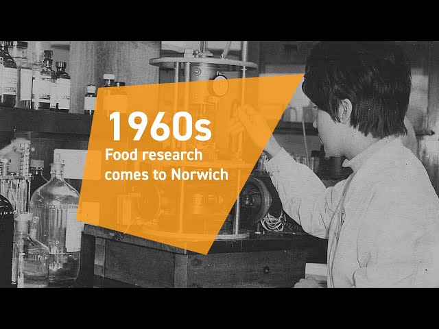 Food research comes to Norwich -1960s