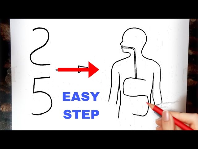 How to Draw Human Digestive system diagram class 10 // Class 10 Science Diagram