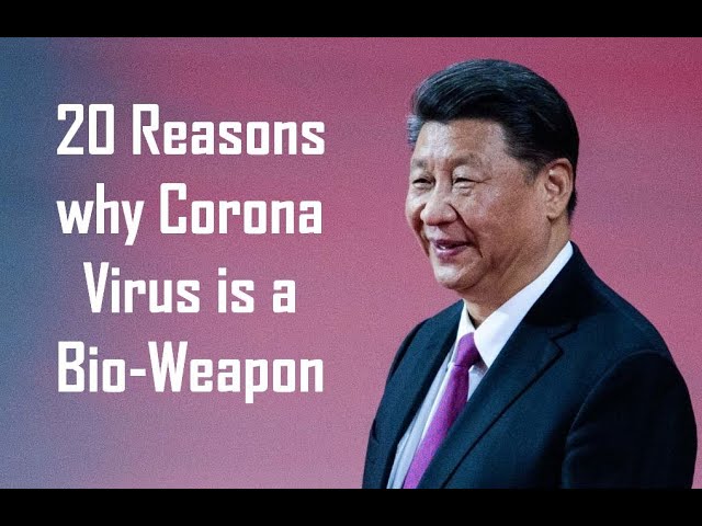 20 reasons why Corona is a Bio-Weapon attack |  EP3 |  PlugInCaroo