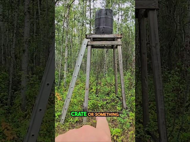 Building a Shower in the Wild  My Homesteading Adventure!