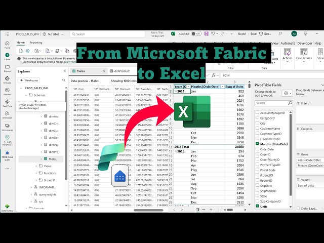 Get and Analyze Fabric Warehouse Data in EXCEL