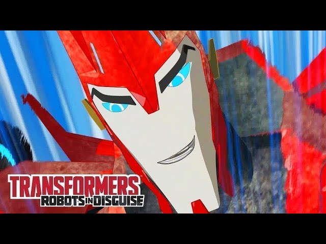 Transformers: Robots in Disguise 🔴 FULL Episodes LIVE 24/7 | Transformers Official