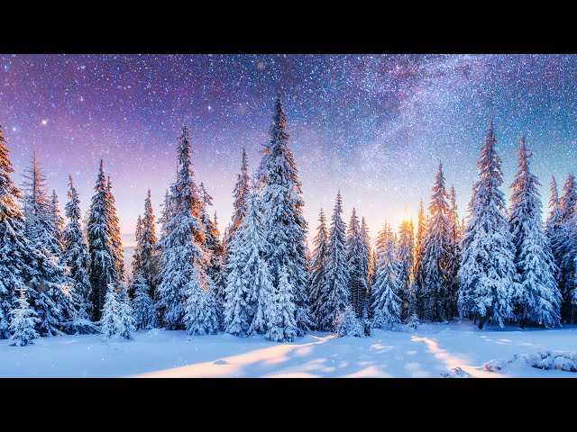 Peaceful Instrumental Christmas Music: Relaxing Christmas music "The Christmas Pines" Tim Janis