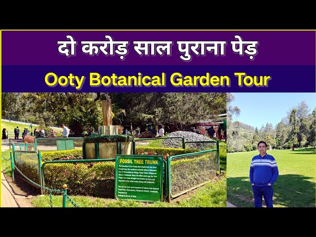 Explore the Stunning Botanical Garden Ooty | A Paradise of Greenery 🌸🌿 #OotyTour #BotanicalGarden