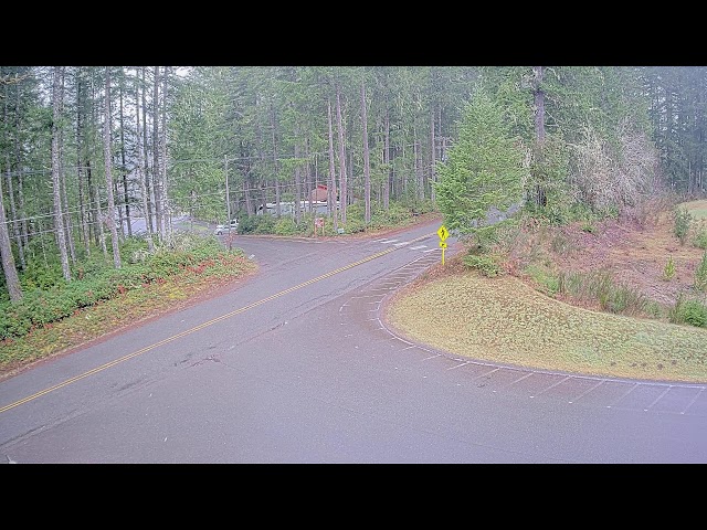 Mason Lake Road - Boat Launch