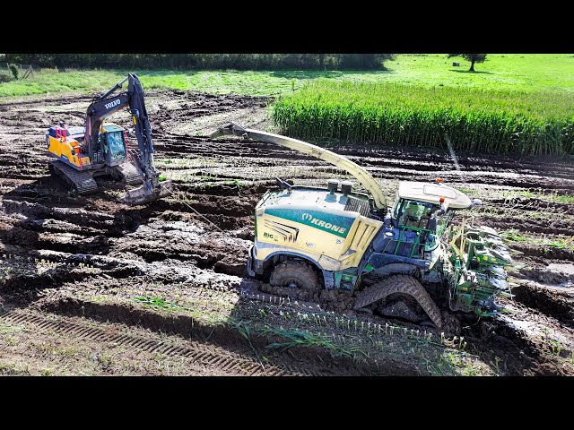 EXTREME CORN SILAGE in France ! STUCK in THE MUD 😱