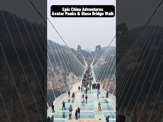 Zhangjiajie: China’s Ultimate Adventure for Thrill-Seekers!