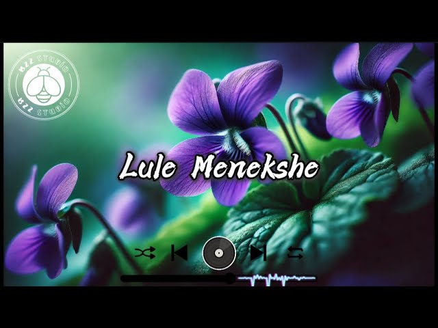 A$GAN - Lule Menekshe (Remix)