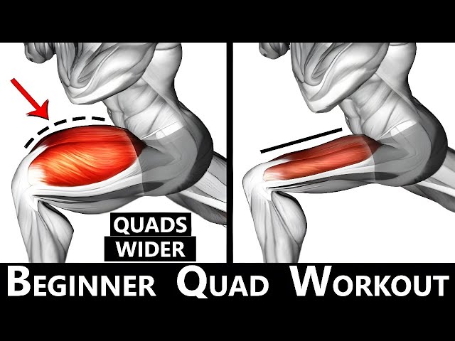 BEGINNER QUAD WORKOUT  MUSCLE BUILDING WORKOUT  QUAD WORKOUT AT GYM