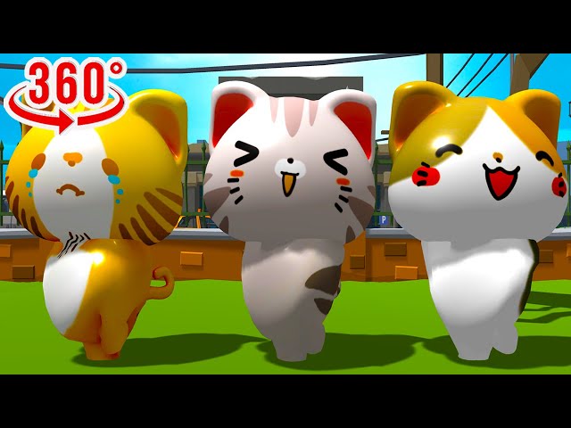 What are the Cats doing? 360 TikTok Song - 3D 4k video 360° VR [Funny Clips]