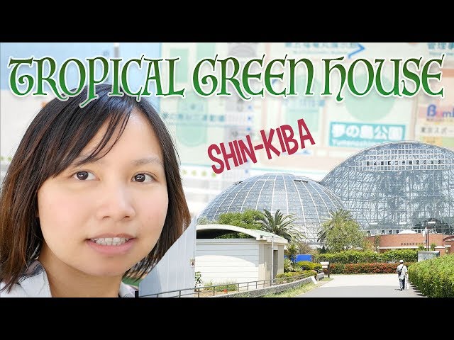 Rumah Kaca Tropical Greenhouse Dome di Shin Kiba - Dewi Nikki