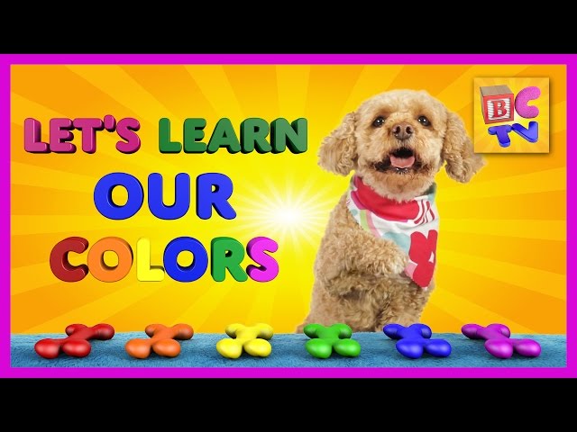 Learn Colors With Lizzy the Dog | Educational Video for Kids by Brain Candy TV