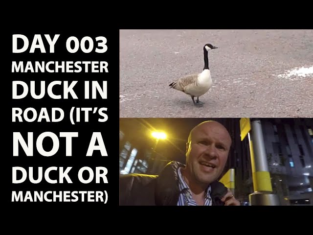 There's a duck in the road in Salford | DAY 003 #TightwadDad Vlog