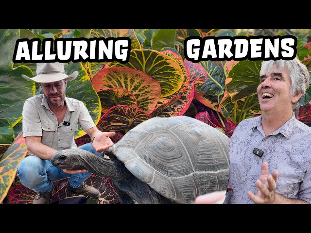 Giant Tortoises and Spectacular Plants