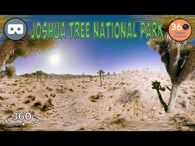 Travel California in 360º VR II Joshua Tree National Park