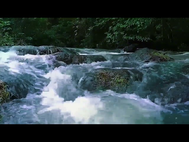 Soothing River Sounds | Relaxing Nature Ambience for Inner Peace | Sound of nature