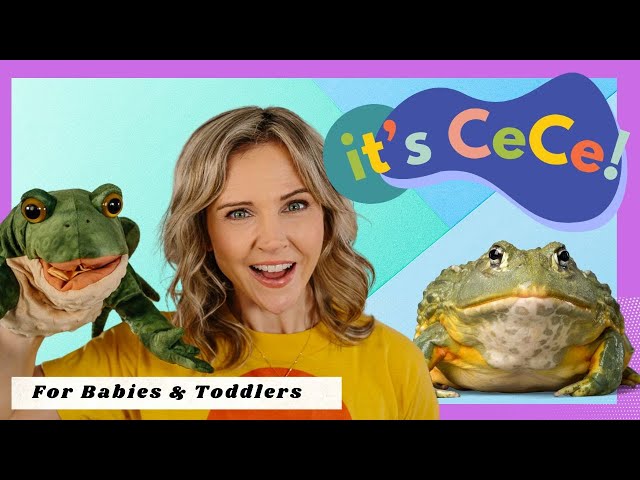 Speech for Baby & Toddler I it's CeCe! I Five Green & Speckled Frogs I Toddler Educacation