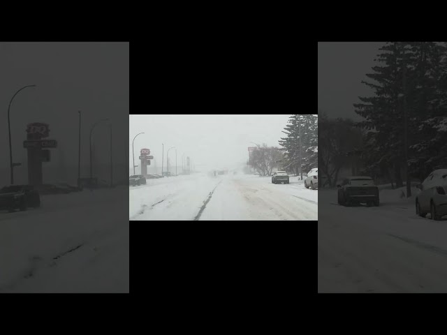 Driving through Canada crazy blizzard #viralvideo #viralreels #viralshorts