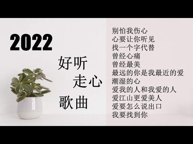 2022好听的歌曲小阿枫合辑适合夜深人静一个人的时候