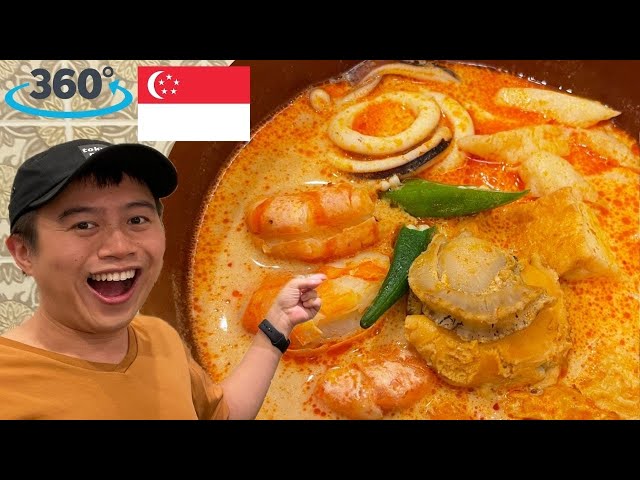 Tasty Singaporean Dishes in Tokyo【4K 360°】