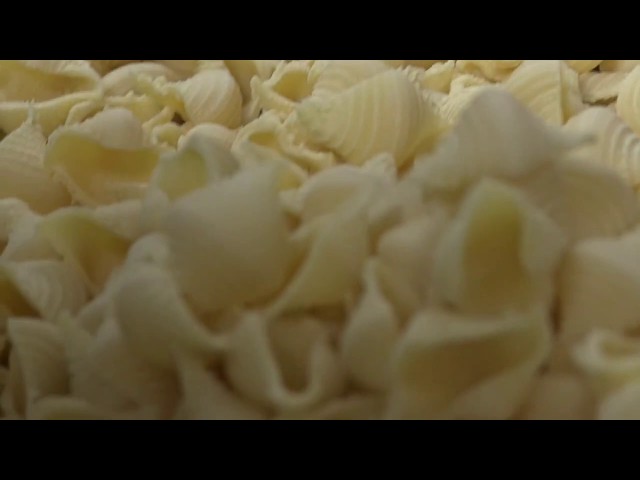 Cucina Edinburgh make delicious conchiglie pasta shells