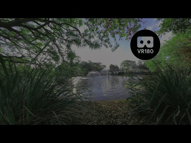 Serenity in the Park: VR180 Fountain with Peaceful Music