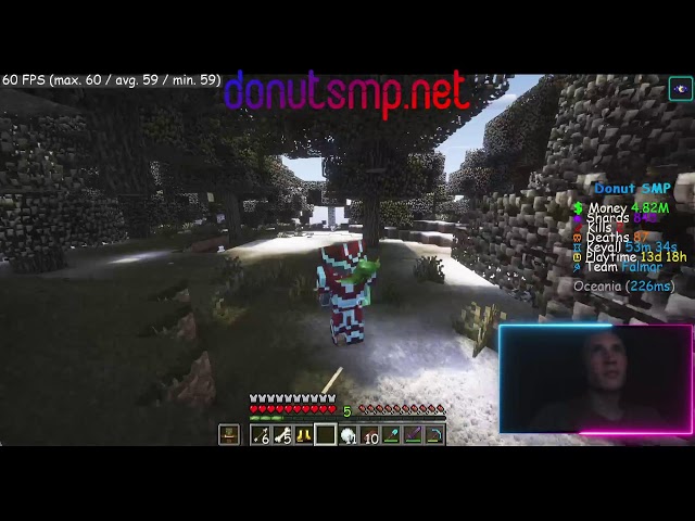 Donut SMP Cherry Blossom Trees