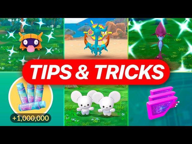 Beloved Buddies Event TIPS You Need to Know!