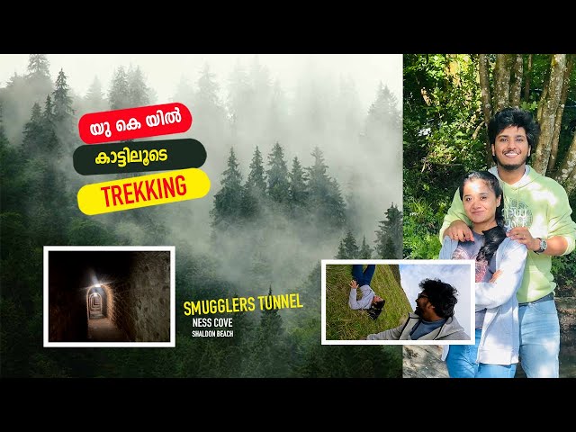 കാട്ടിലൂടെ ഇങ്ങനെ പോകാൻ ഒരു ധൈര്യം വേണം  UK Forest Trekking | Shaldon Beach #uk #travel