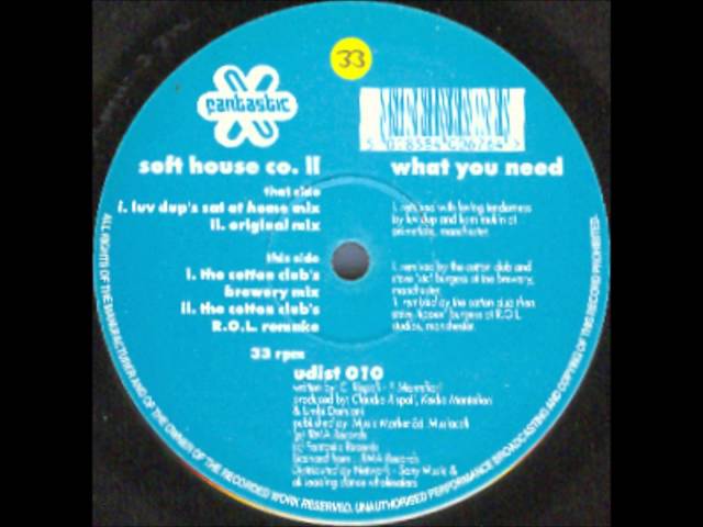 Soft House Co. II - What You Need (Luv Dup's Sat At Home Mix)