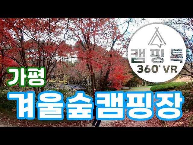 [캠핑장 360] 철수아재와 함께하는 *가평 겨울숲캠핑장* 함께 산책해요! 360VR 5K HDR [캠핑톡]