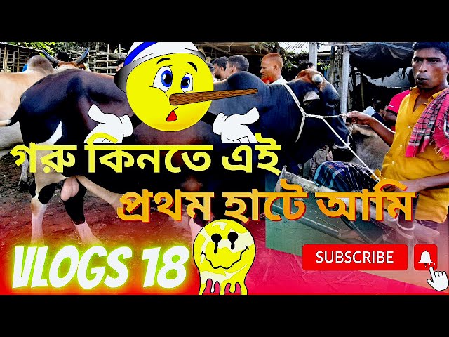 AMI Prothom goru haat a gelam | Bhai koto taka Nilo |Bogra sherpur Gorur Haat 2022 Full|Qurbani EID|