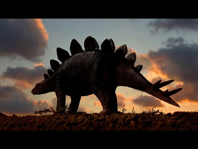 Deadlier Than T-Rex? The Stegosaurus Advantage You Never Knew