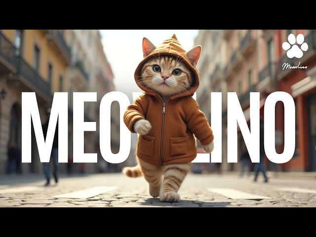 Cute Cat Meowlino I Cute Cat Videos & Cat playing guitar