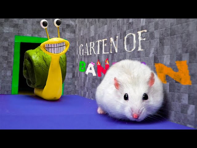 🐹Thrilling Escape: Hamster vs SLOW SELINE in Real Life 🐌 in GARTEN OF BANBAN