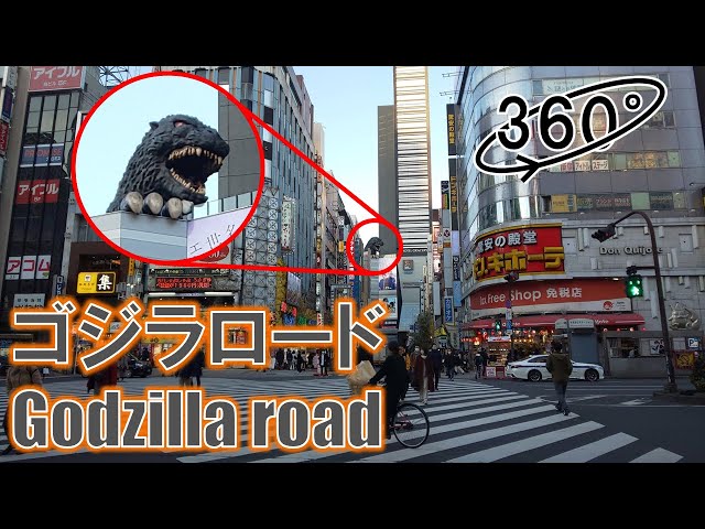 [Tokyo Walk] Shinjuku Kabukihco (Godzilla Road), Tokyo, Japan / Jan 2021 ＜東京散歩 新宿 歌舞伎町＞