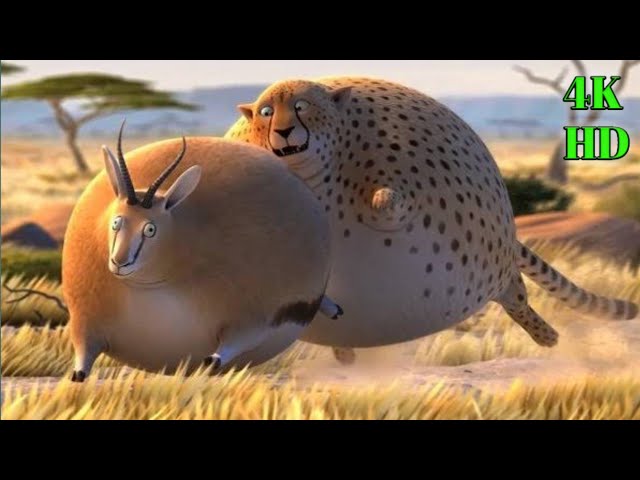 fat animals || if animals were fatty, funny cartoon short film.