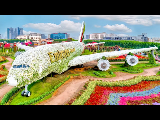 Dubai Miracle Garden 2025 Tour in 4K | World's Largest Natural Flower Garden