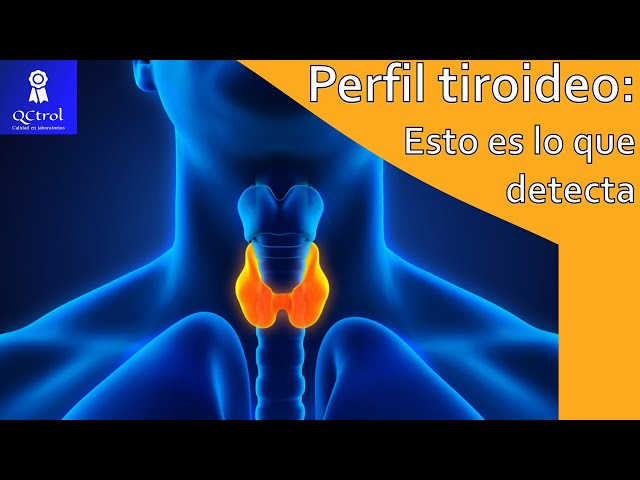 What is the THYROID PROFILE and what does it include?