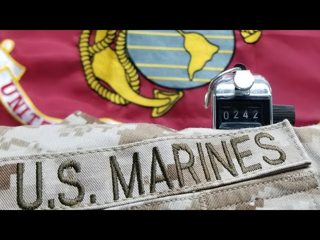 242 Pull-ups, Happy Birthday Marines! 2017