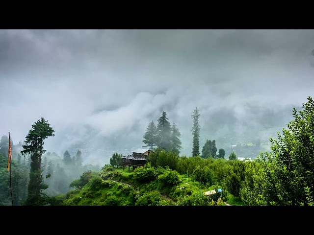 "3 Hours of Gentle Mountain Rain with Mist | Relaxing Rain Sounds for Deep Sleep and Calm"