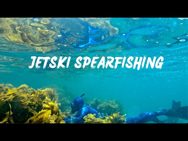 JETSKI SPEARFISHING- Diving with Dolphins and Snapper Hunting in New Zealand