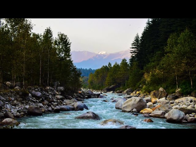 Relaxing Ambient River Stream Water Sounds for Sleep, Study, Stress Relief, Meditation | 15 Minutes