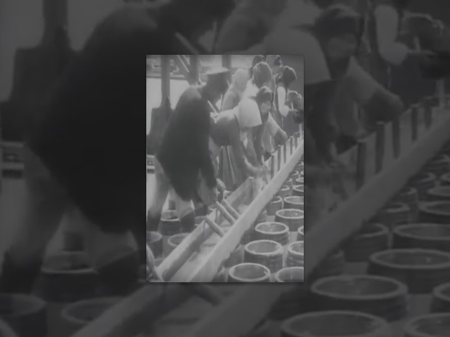 Fish Factory in Astrakhan (1908) documentary