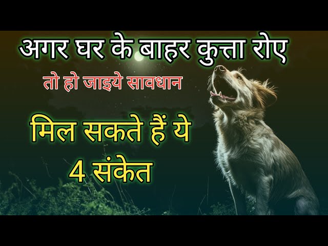 घर के बाहर कुत्ता रोने से मिल सकते हैं ये संकेत : सावधान रहें | Why Dogs Cry at Night | #astrology