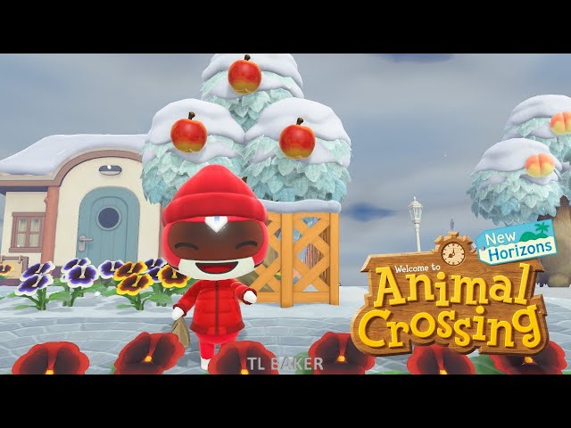 Animal Crossing: New Horizons (switch) #167