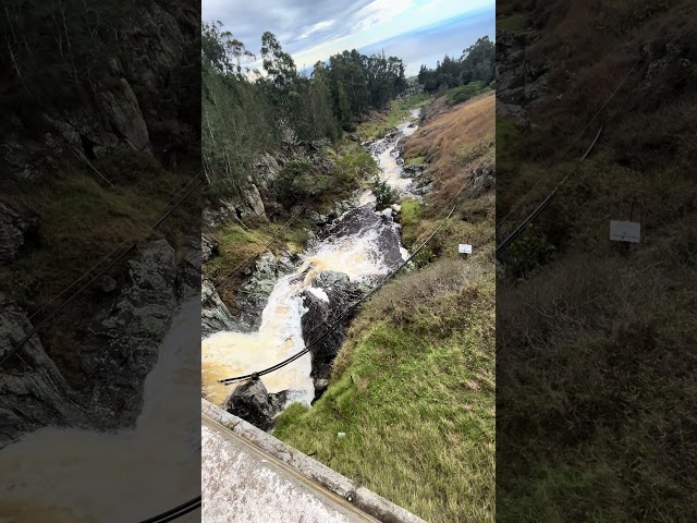 Big Storms means gushing streams. Part Two.  #bigislandhawaii