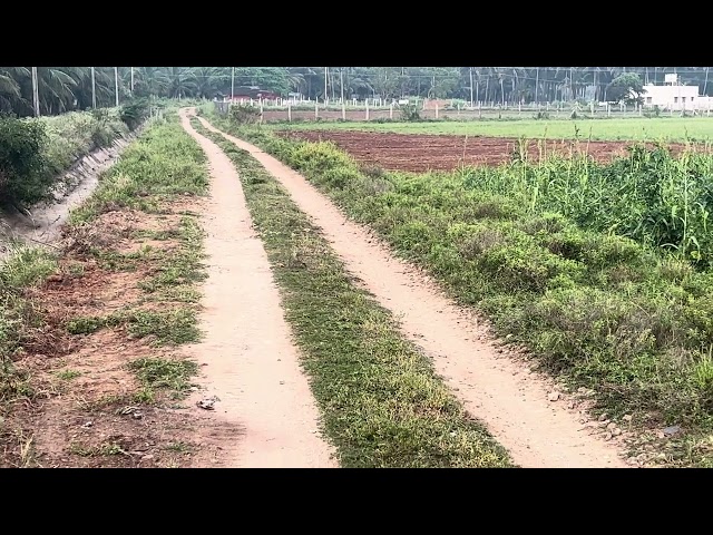 150 அடி ரோடுபேஸ் உடன் 58 சென்ட் செம்மண் பூமி PAP வாய்க்கால் ஒட்டிய இடம் |Bus 🛣️🚎🏠stop அருகில் 32 Lhs