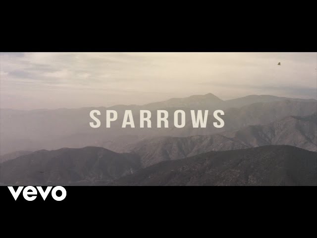 Jason Gray - Sparrows (Lyric Video)