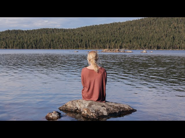 Vanlife Alone in the Nordic Wilderness